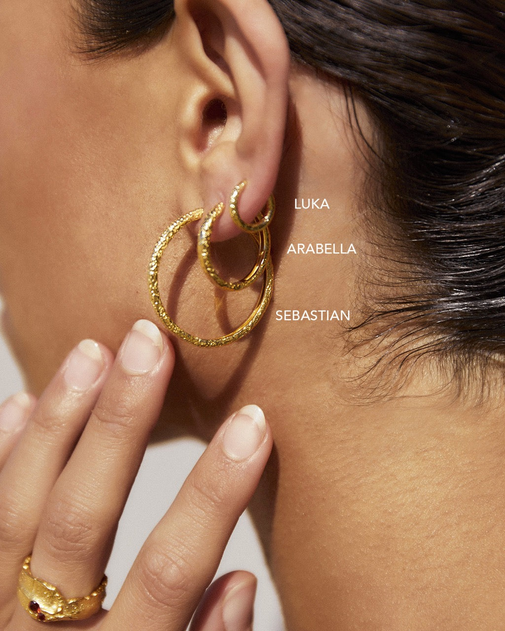 Sebastian Gold Hoop Earrings