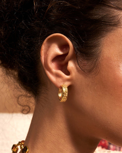 Serenade of Orchid Hoops
