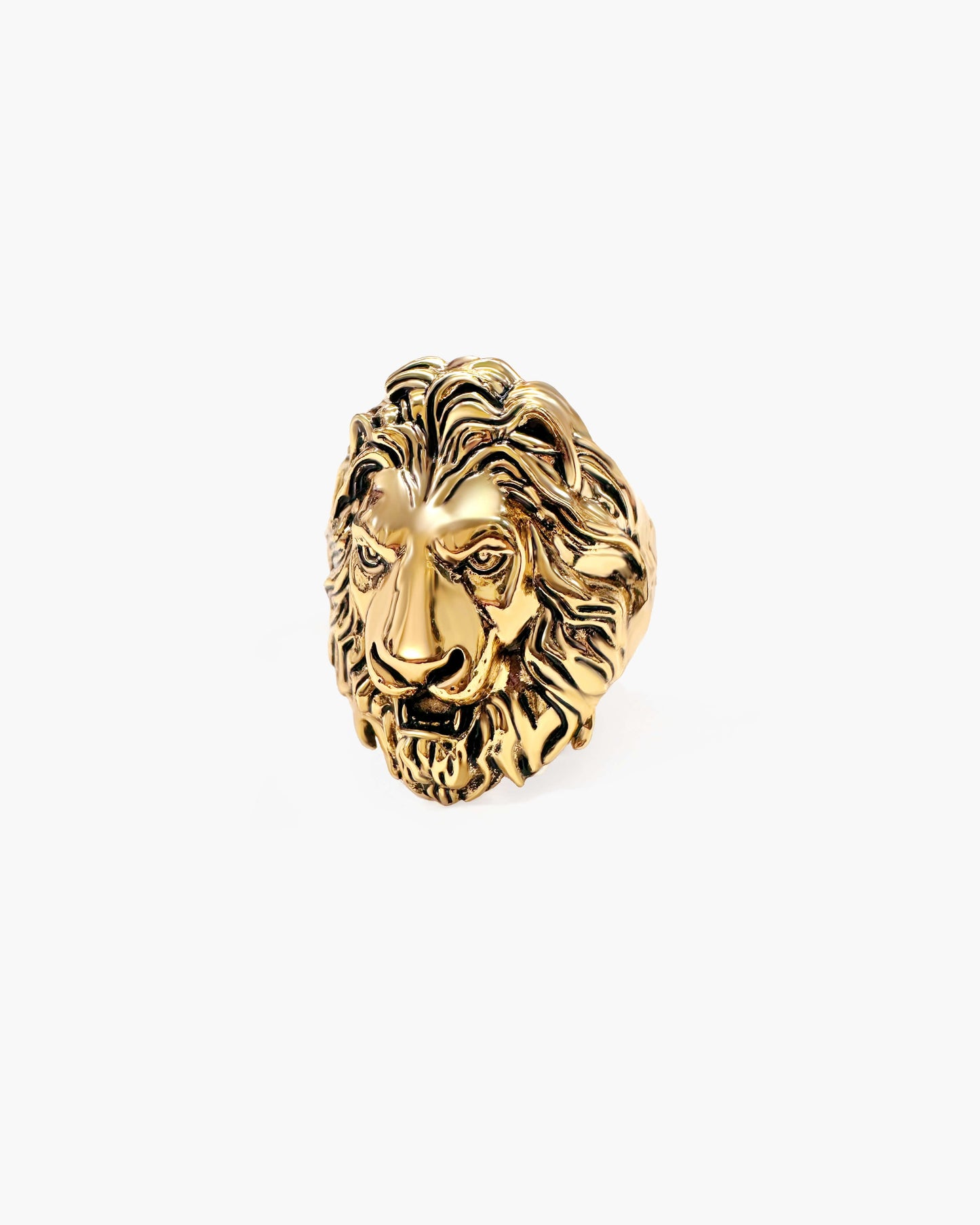 Lion Guard Ring in Silver