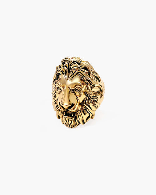 Lion Guard Ring