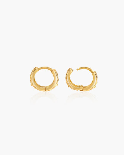 Mini Serenade of Orchid Hoops