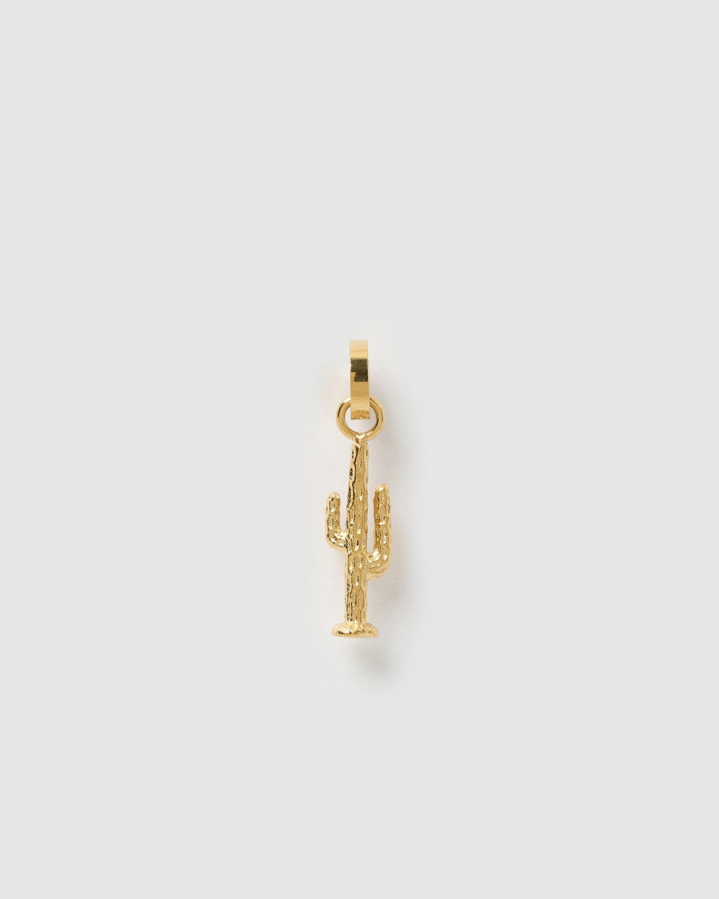Cactus Charm