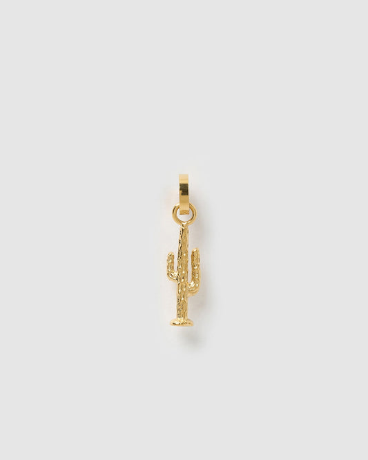 Cactus Charm
