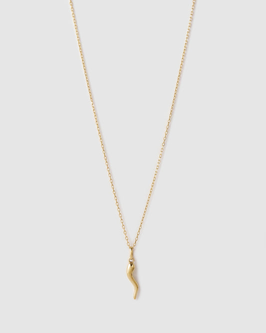 Cornicello Gold Charm Necklace - Large