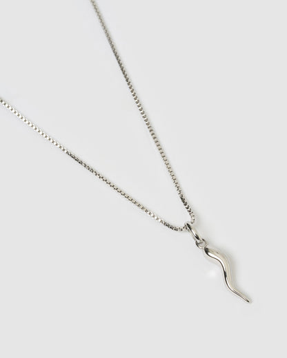 Cornicello Silver Charm Necklace