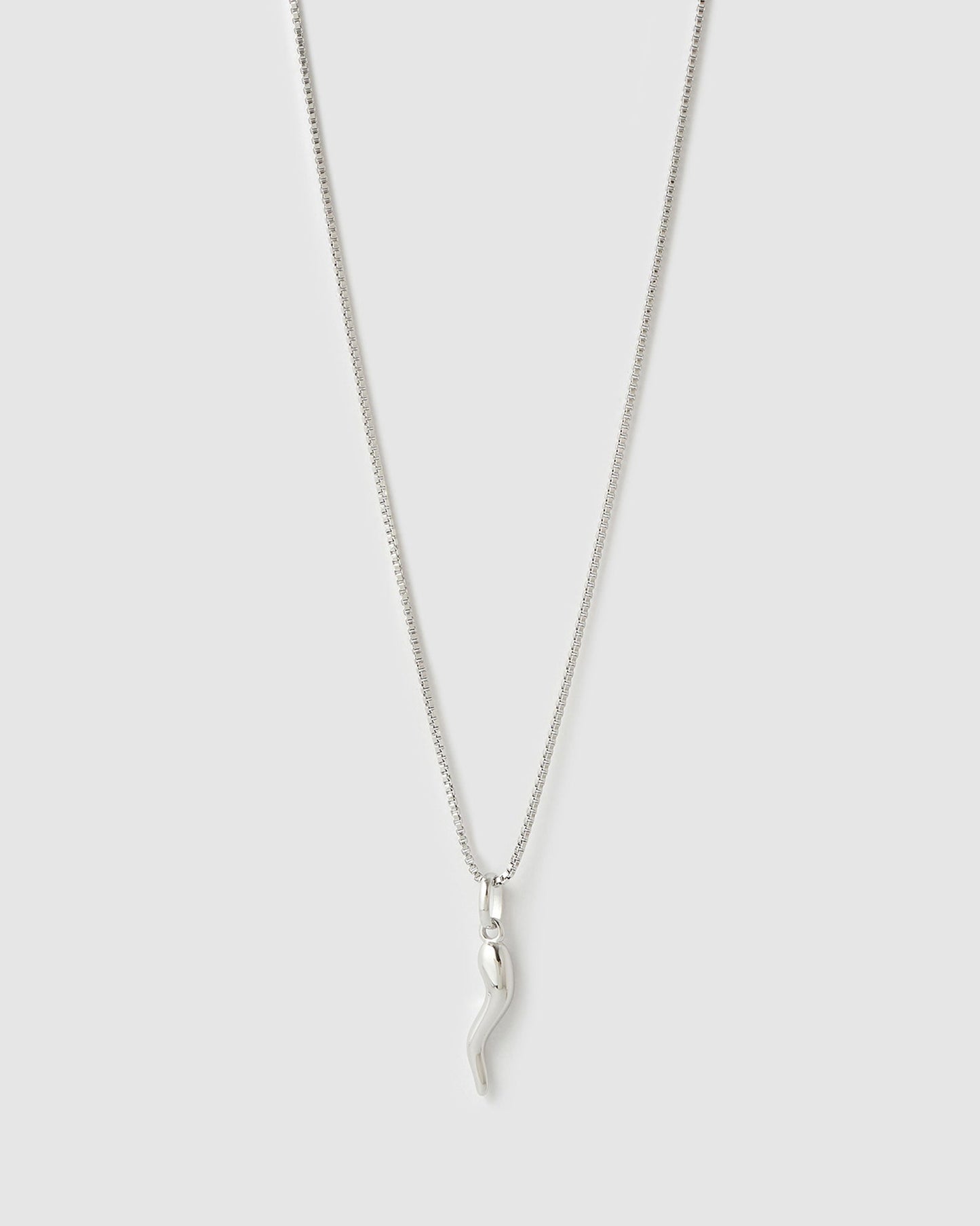 Cornicello Silver Charm Necklace