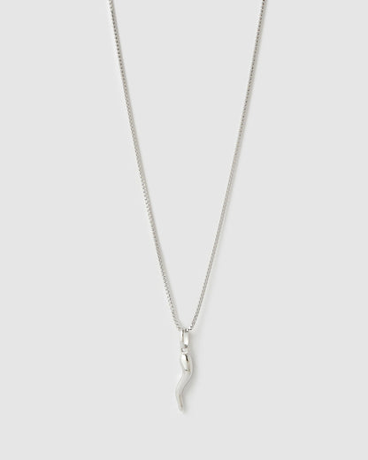 Cornicello Silver Charm Necklace