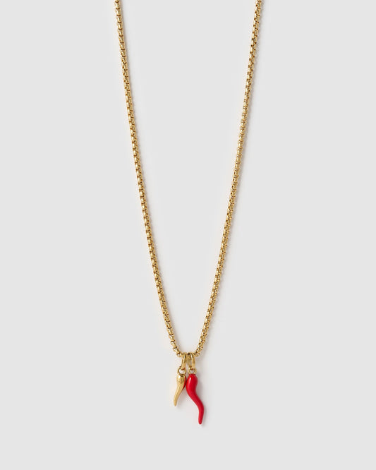 Double Cornicello Charm Combo Necklace