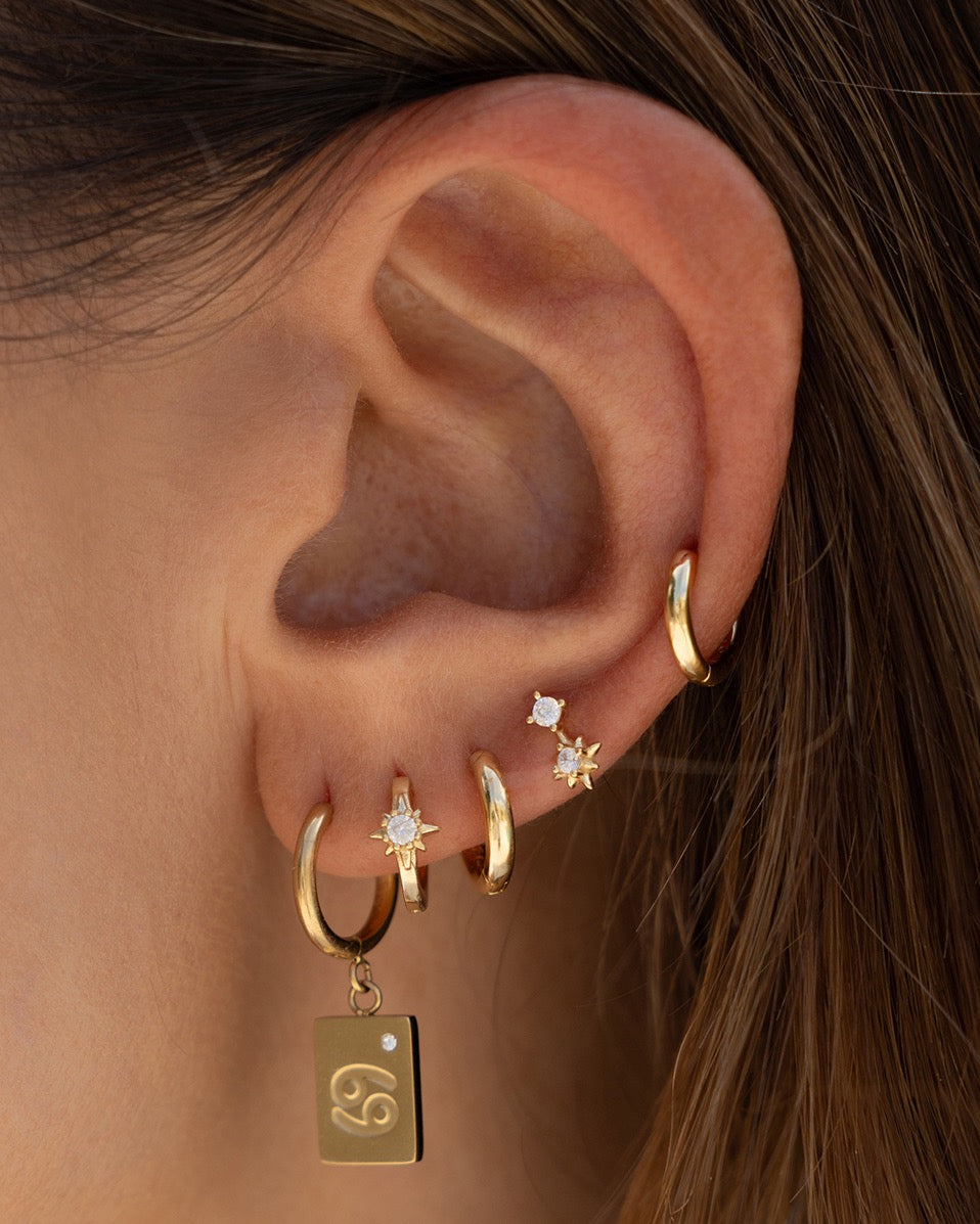 Zodiac Gold Tag Earrings