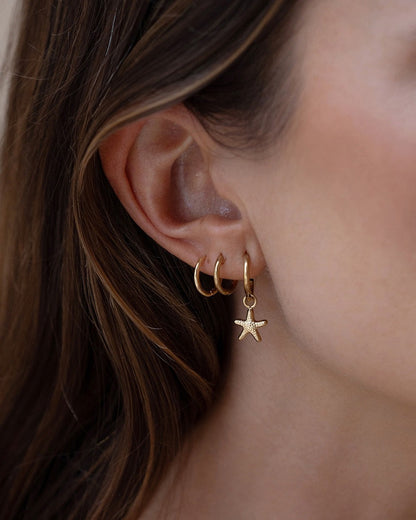 Sea Star Gold Earrings