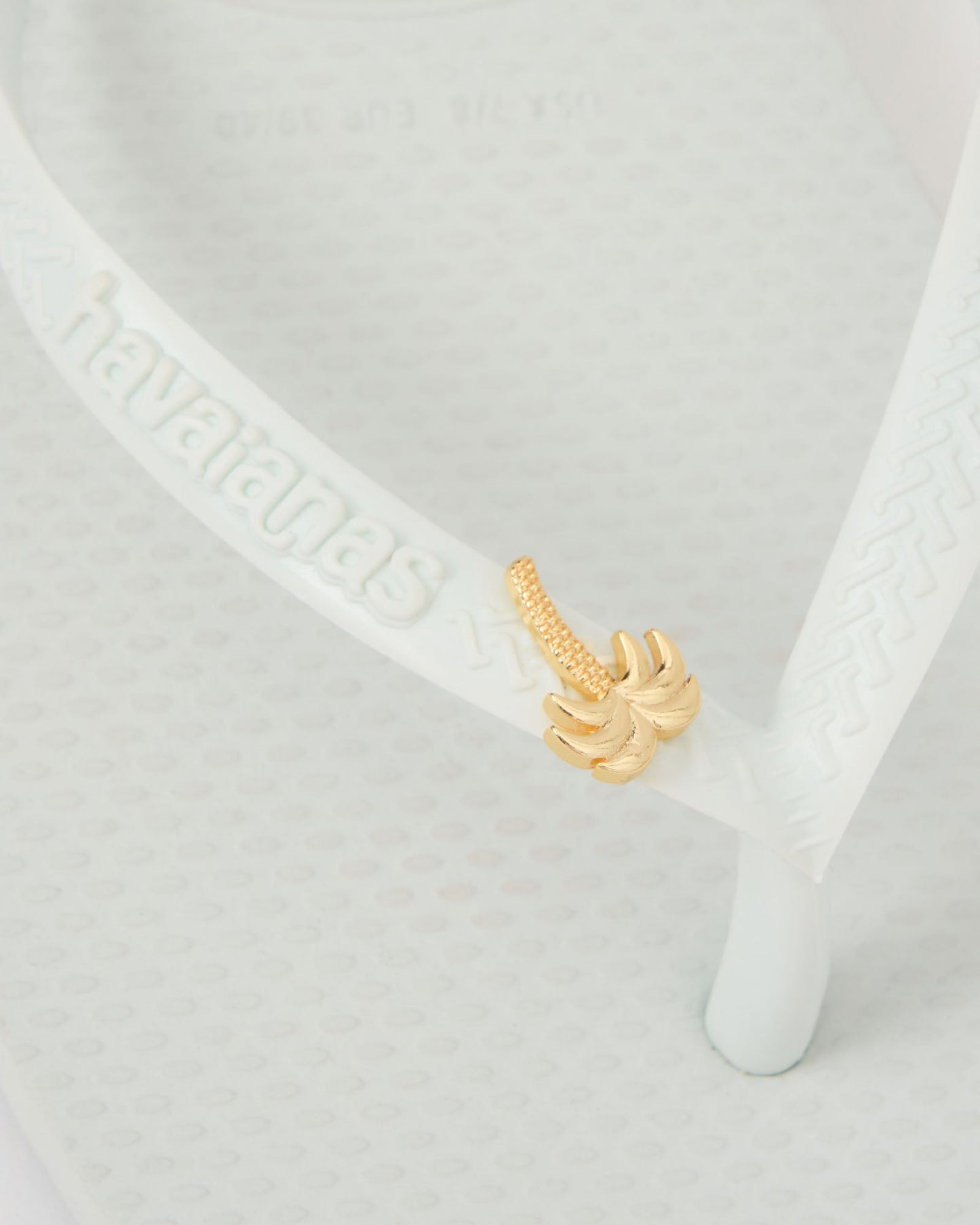 Havaianas Square Toe Palm Tree - White