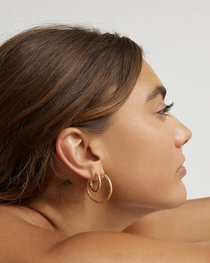 Sebastian Gold Hoop Earrings