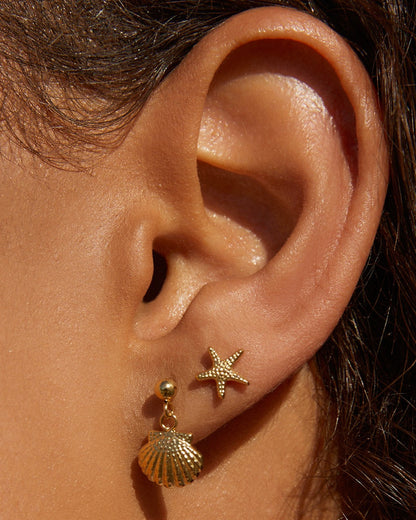 Starfish Gold Studs
