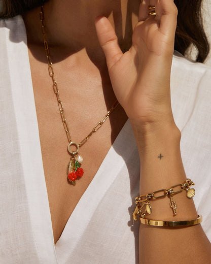 Cactus Charm