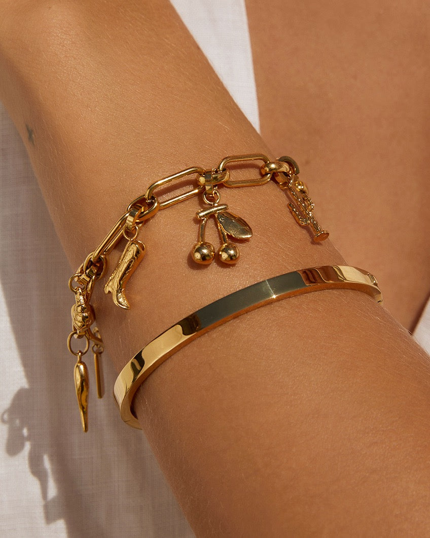 Pacha Charm