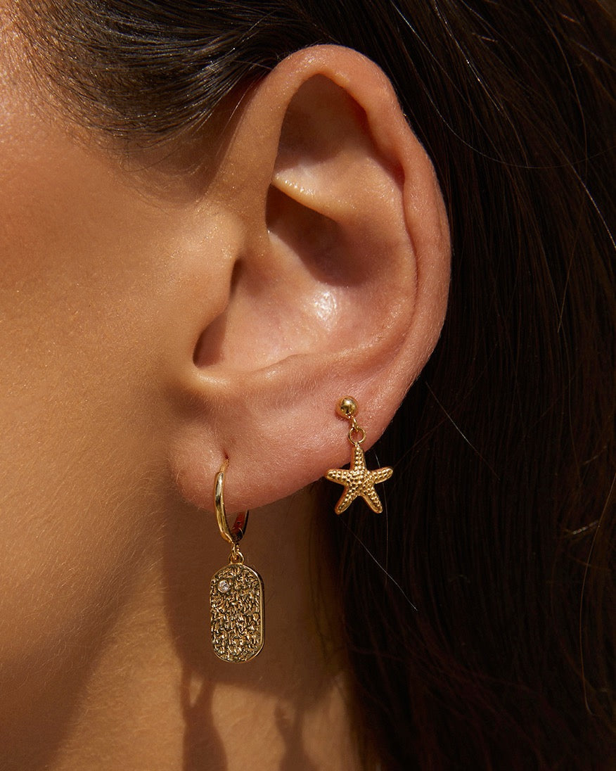 Neptune Gold Earrings