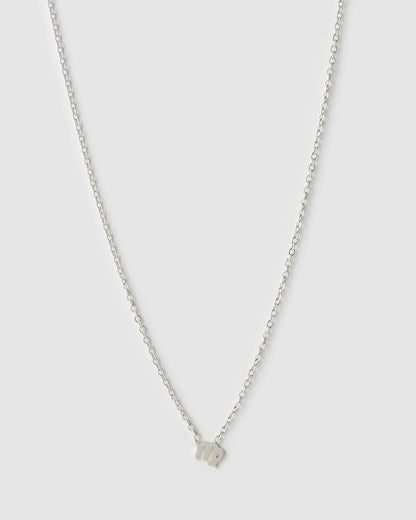 Mini Zodiac Silver Necklace
