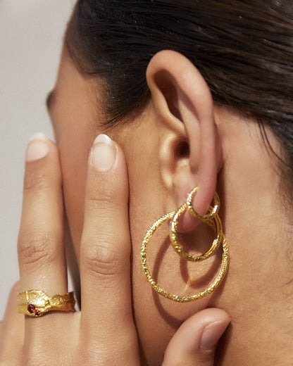 Arabella Gold Hoop Earrings