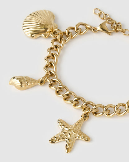 Salacia Bracelet