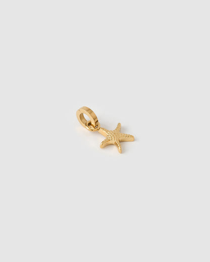Sea Star Charm