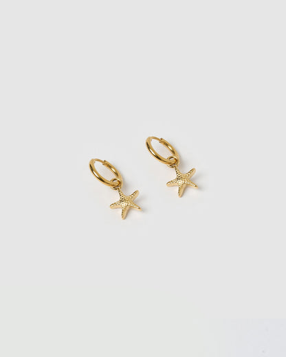 Sea Star Gold Earrings