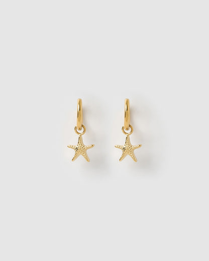 Sea Star Gold Earrings