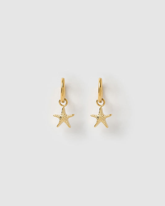 Sea Star Gold Earrings