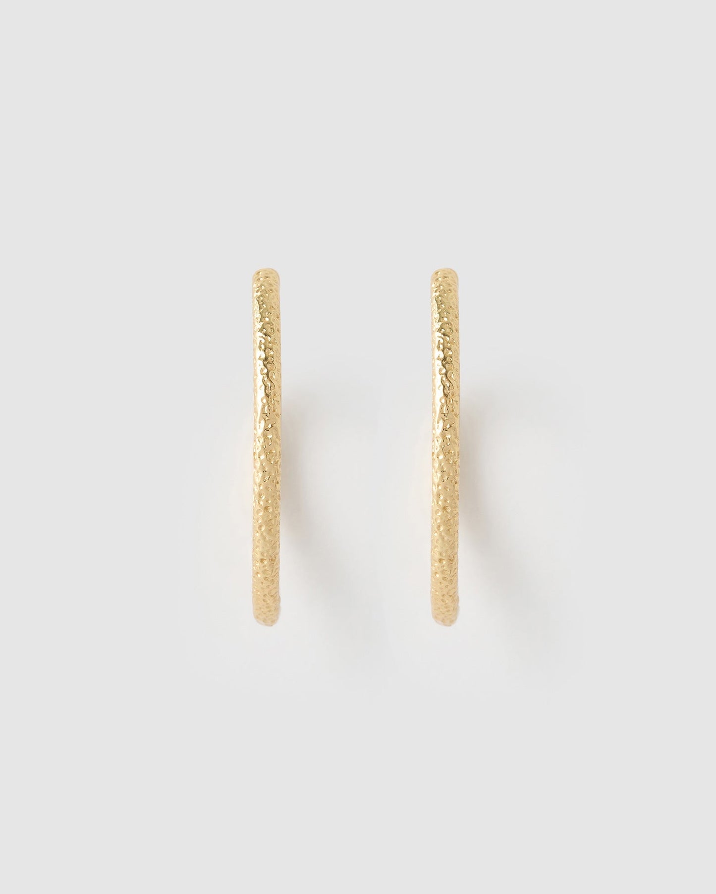 Sebastian Gold Hoop Earrings