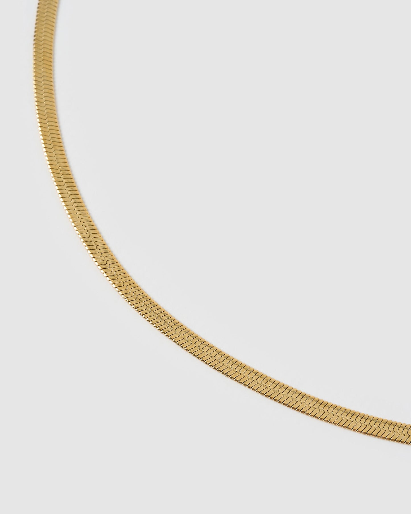 Sylvia Gold Snake Chain Necklace