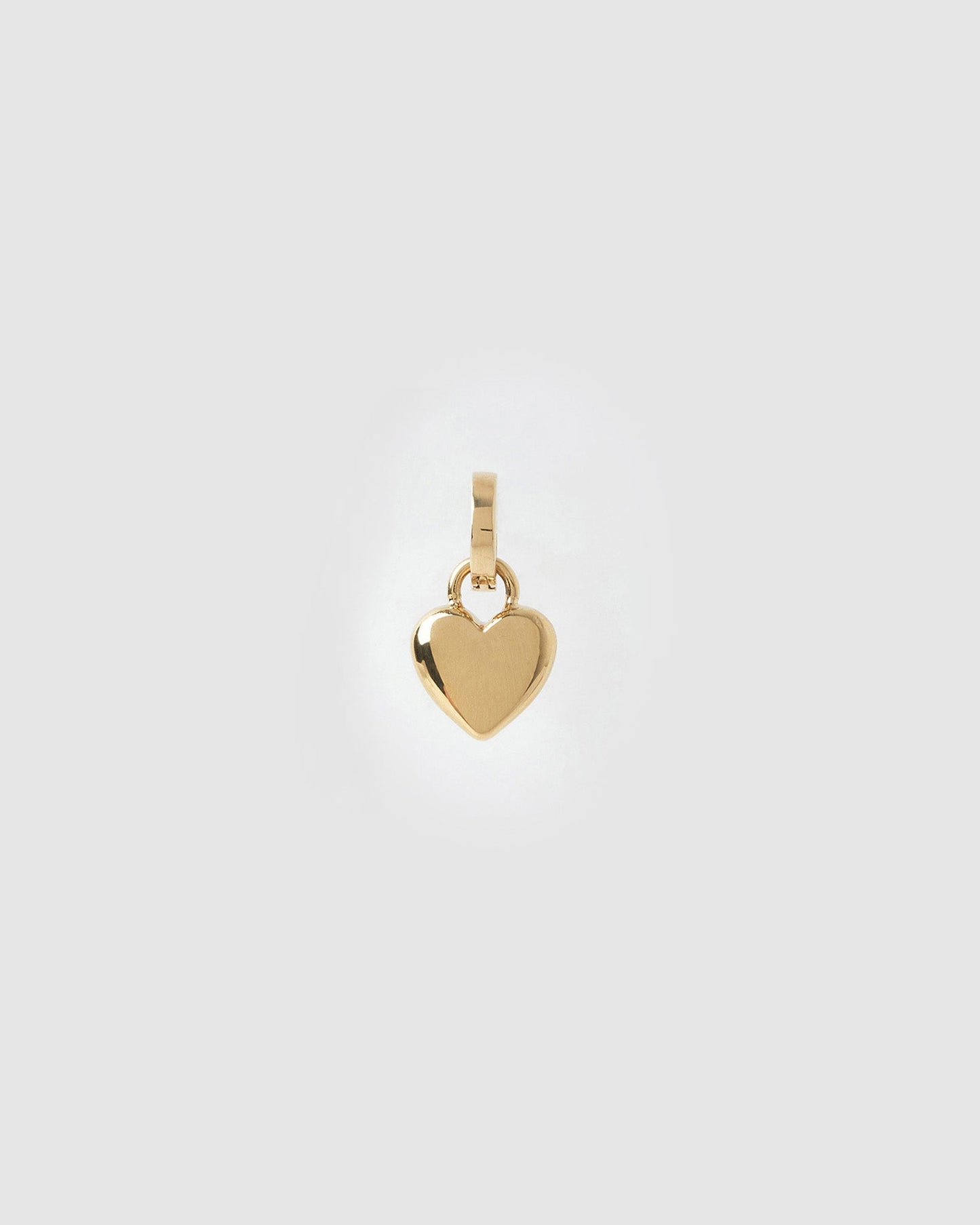 Treasure Charm