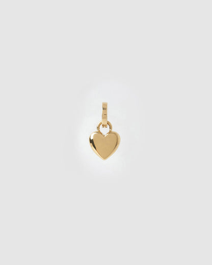 Treasure Charm